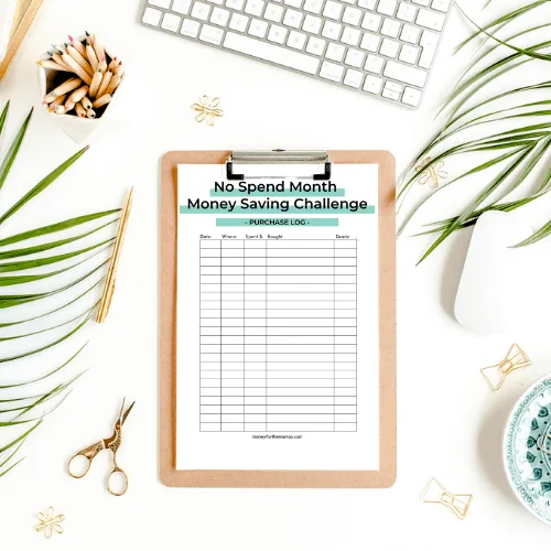 no spend challenge purchase log