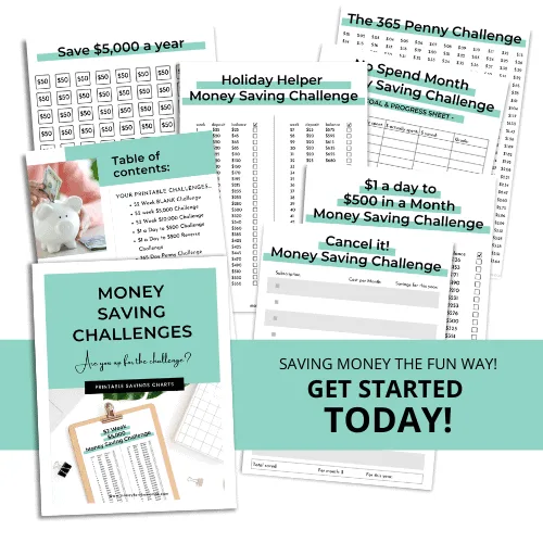 no spend challenge mockup