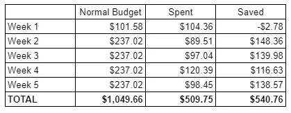 total month of no spend challenge savings